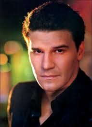 David Boreanaz Image Vampire Shows Confuse Me Picture 7