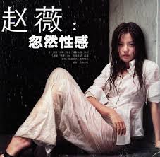 Vicki Zhao Image Vicki Zhao | Star East Asia Female Celebrities Picture 2