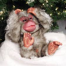 Cute monkey