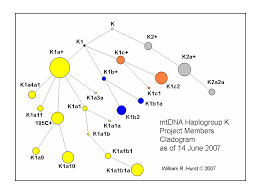 mtDNA Haplogroup K Project