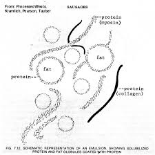 Emulsion Notes: Emulsions are - via Daymix