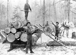 Lumber Industry