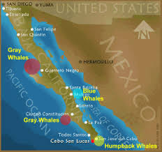 Mexico's Baja California Area - via Daymix