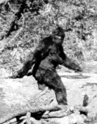 or Sasquatch, - via Daymix