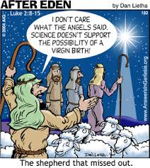 Virgin birth
