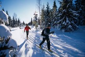 cross - country - skiing -01b