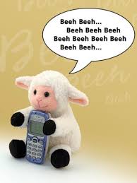 SCOTLAND'S SHEEP - via Daymix