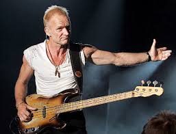 Sting Image Sting Questioned on Environmental Hypocrisy | Sustainability Ninja Picture 7
