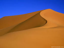 This is a sand dune