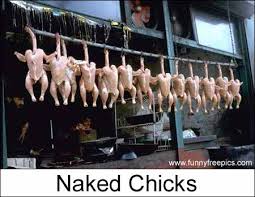 Naked Chicks