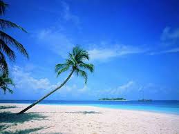 Beaches