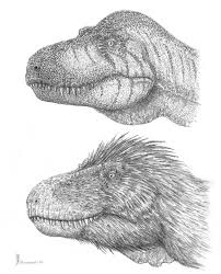 from a tyrannosaurus rex - via Daymix