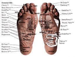 feet