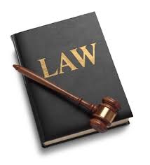 Experts in Legal Issues