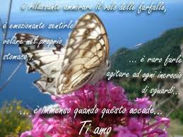 farfalle