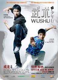 08最新动作大片《武术之少年