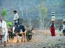 ... two each in Yavatmal, Washim and ...