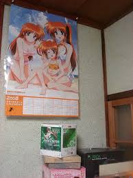 ... on 2007-12-11 (「なのは9歳？
