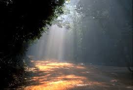 Image Like a <b>dream</b> <b>...</b> Picture