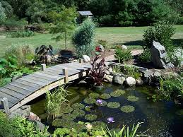 Ponds - via Daymix