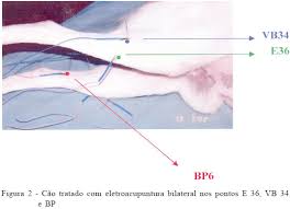 http://www.scielo.br/img/revistas/cr/v38n6/a25fig02.gif