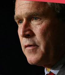Bush