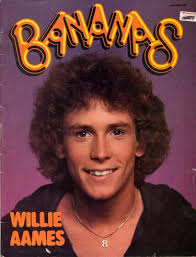 Willie Aames - via Daymix