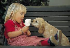 an Animal Communicator