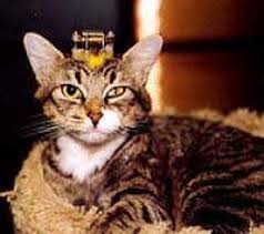 Animal testing began in the 17th