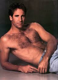 Image <b>Scott Bakula</b> Picture