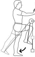 http://images.google.com/images?q=tbn:56SbZmD-p4C4vM:http://www.weight-lifting-workout-routines.com/standing-hip-extension.jpg