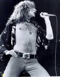Robert Plant Picture 3