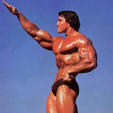 Arnold Schwarzenegger - via Daymix