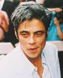 Benicio Del Toro Image 245176~<b>Benicio< b> <b>Del< b> <b>Toro< b> Posters.jpg Picture 5