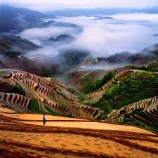   Beautiful   China