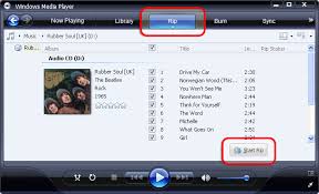   Windows Media   Player Rip CD Screen