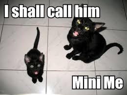 Image I shall call <b>him</b> MiniÂ Me Picture