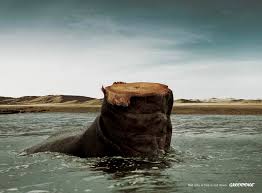 greenpeace3.jpg