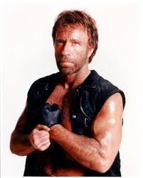 Chuck Norris Picture 4