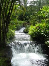 Adventure in Paradise - Costa Rica - VirtualTourist.