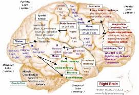 An unprecedented  brain map   that is    