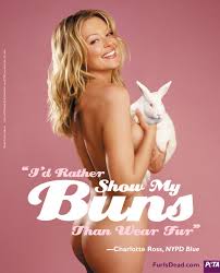 Image Picture of Charlotte Ross Picture