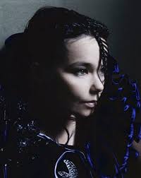 Image <b>Björk</b> and Declaring for Independence Picture