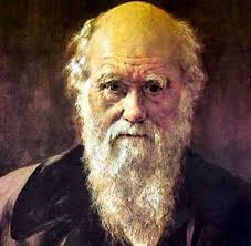 Charles Darwin portrait