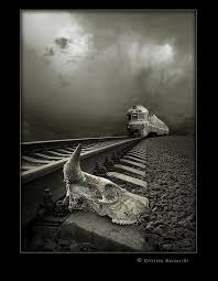 the passenger of a cheerful