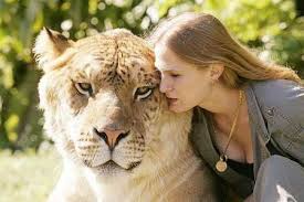 2 Worlds Largest Liger - via Daymix