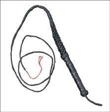 Leather Bull Whip