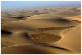 Surreal scenery of the Namib Desert