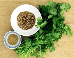In Europe, coriander is