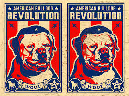      this  American   Bulldog propaganda    